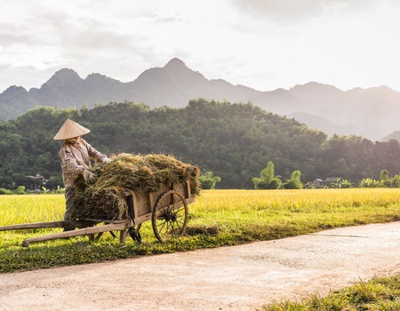 Circuit L'essence de l'Orient : de la baie d'Halong aux terres sacrées du Laos **** - 3
