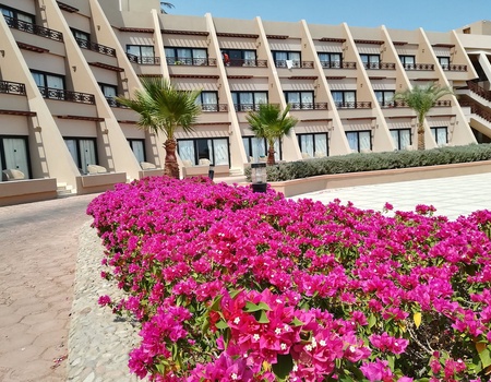 Hôtel Pharaoh Azur Grand Resort 4* - 3