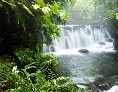 Road Trip Zénitude au Costa Rica - 5