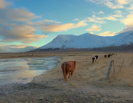 Circuit Estival Aventures en terres islandaises Islande - 5