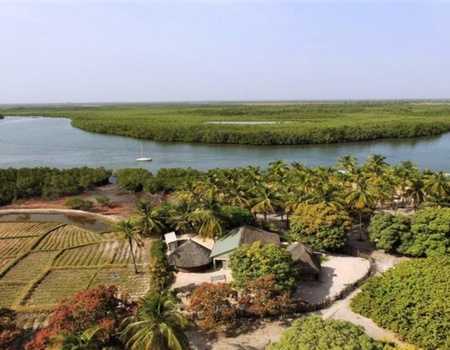Casamance - Des Iles Et Des Hommes - Afrique Océan Indien, Sénégal - Image 1