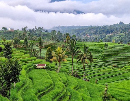 Combiné circuit Charmes balinais et séjour Ôclub Select Merusaka Nusa Dua 5* - 5