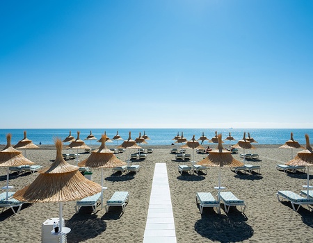 Hôtel MS Tropicana 4* - 1