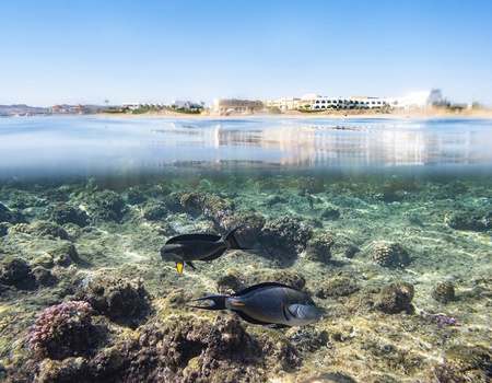 Three Corners Equinox Beach Resort 4*