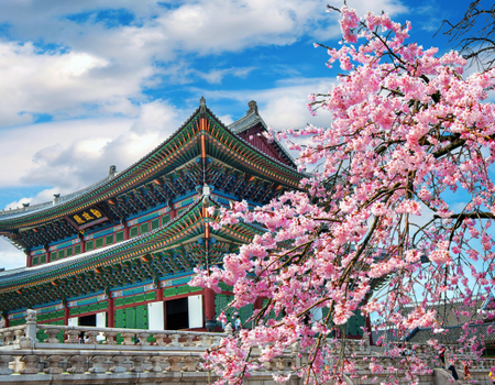 Circuit Couleurs de Corée, Au Pays du Matin Frais - 1