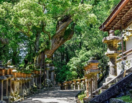 Immersion au Japon en transports locaux & Extension Tokyo 15J/12N - 2026 - 5