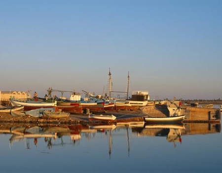 Combiné circuit et hôtel Circuit Plage au Framissima Djerba Holiday Beach et désert de Tozeur 4* - 5