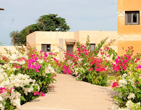 Hôtel King Baobab Lodge 4* - 5