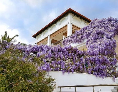 Hôtel Alexandos Palace 5* - 4