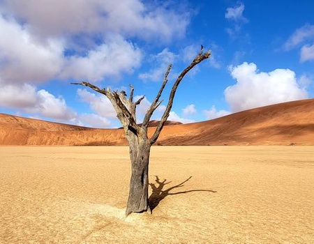 Aventure en Namibie