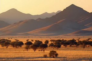 Aventure en Namibie + extension Fish River Canyon - 2