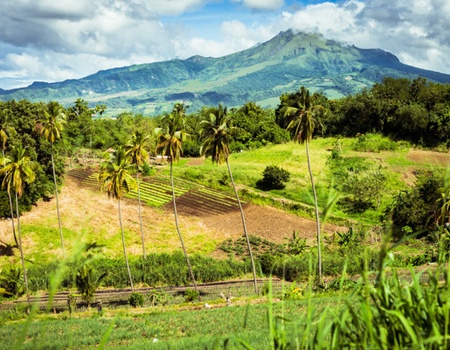 Autotour Trilogie créole en liberté - 1