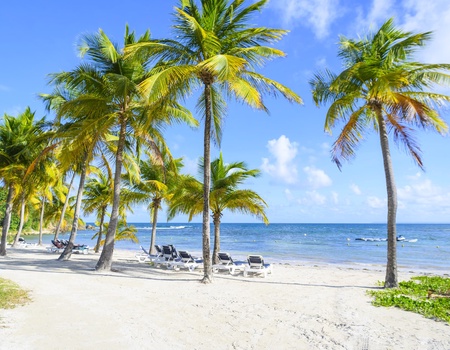 Pierre & Vacances Village Sainte-Anne 3* - 2