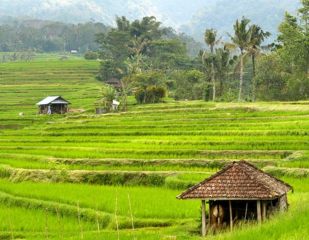 Circuit Irrésistible Bali 3/4* - 5