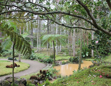 Road Trip aux Açores - Iles des Acores - 4