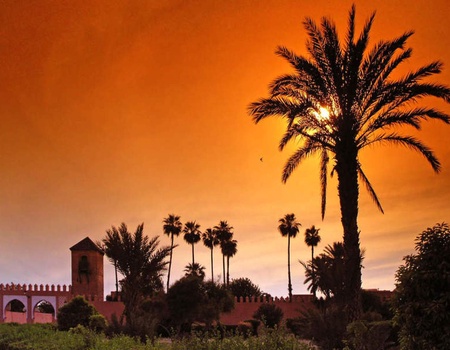 Circuit privatif Entre Médinas, Océan et Désert - 1