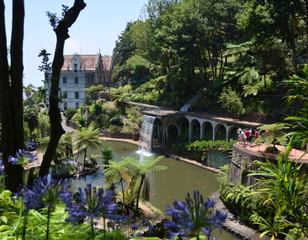 Madère en liberté - Madère - 2