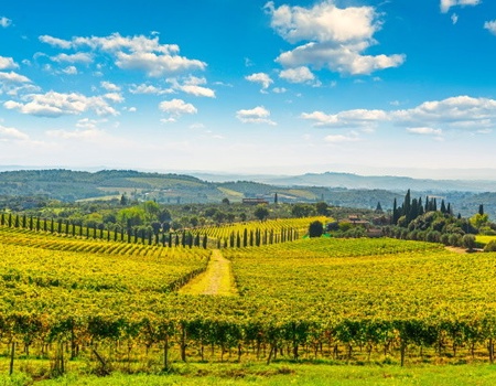 Autotour Balade en Toscane : route des vins en 3 nuits *** - 5