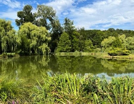 Camping maeva Escapades La Rivière Dorée 3* - Seine-et-marne - Bagneaux-sur-Loing, Ile de France - Image 1