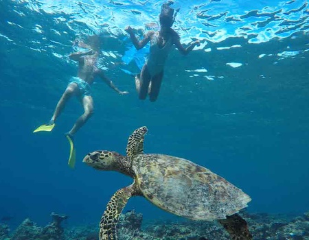 Hôtel The Barefoot Eco 4* - 2