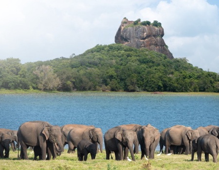 Combiné circuit et hôtel Authentique Sri Lanka 3* & extension au Framissima Evasion Heritance Ahungalla - 5