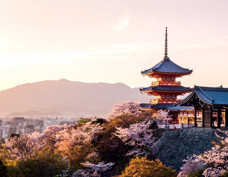 Evènement : Hanami, le réveil des cerisiers - Japon, Asie - Image 4