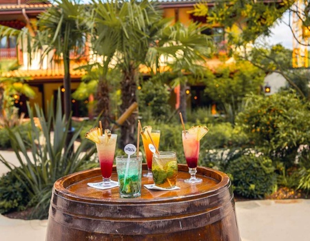 Séjour à deux avec dîner et entrées à Nigloland ! - 4* - 1