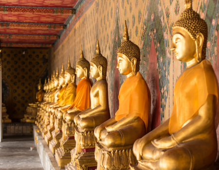 Circuit Lotus de Thaïlande et plage à Krabi 5* - 4