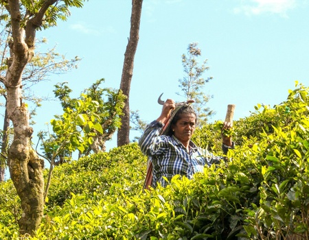 Circuit Koggala : déconnexion totale en pleine nature - 5