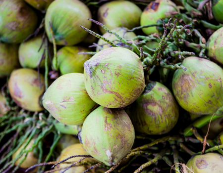 Circuit Vietnam du Nord au Sud, les incontournables en Privatif 3* et évasion en écolodge dans le Delta du Mékong - 4