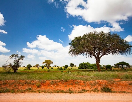 Safari 3 nuits Tsavo East, Amboseli & Séjour au Kappa Club Crystal Bay Resort 4*sup nl - 4