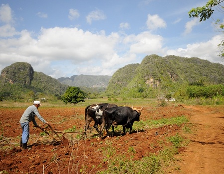 Circuit Isla Cubana - 3