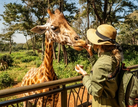 Circuit Regard sur le Kenya, le grand safari - 3