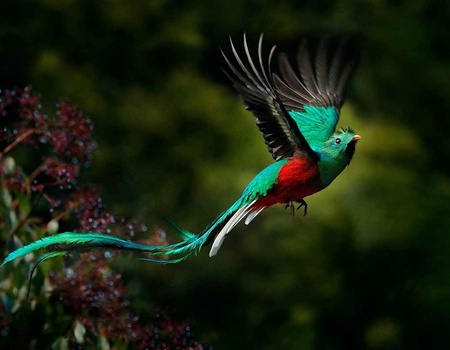 Autotour Richesses naturelles du Costa Rica - Extension Escapade à Tortuguero - 3