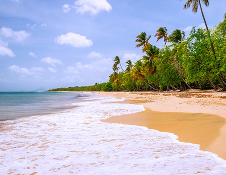 AUTOTOUR MARTINIQUE - 3