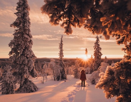 Séjour accompagné Multi-activités à Levi - Finlande, Europe du Nord - Image 2