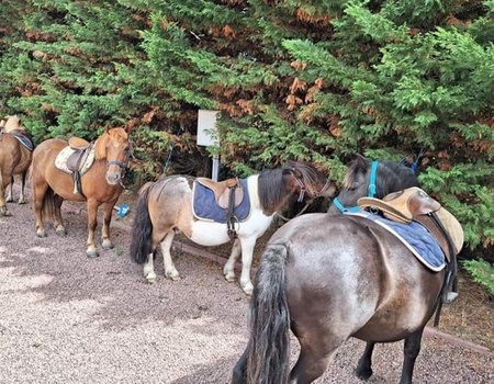 Camping La Prévoté, 3* - 2