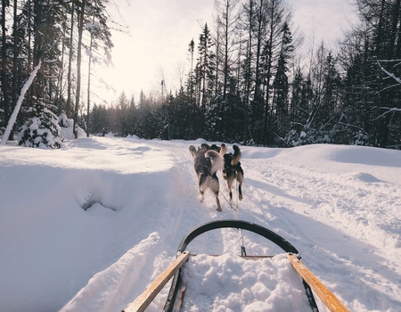 Découverte de l'hiver québecois
