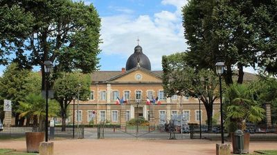 Art et Histoire au fil du Rhône (formule port/port) - Lyon, Sud Est - Image 3
