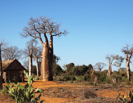 Circuit Splendeurs de Madagascar - 3
