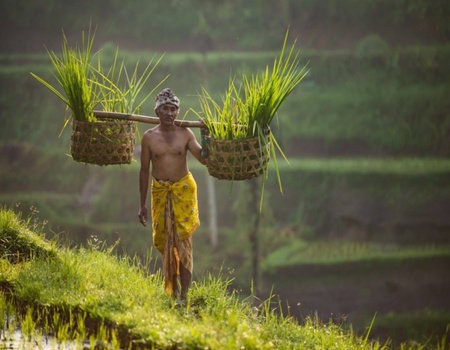 Immersion à Bali en famille - Bali, Indonésie - Image 2