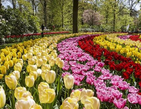 Séjournez dans le luxueux hôtel Van der Valk Schiphol et découvrez le Keukenhof - 4*