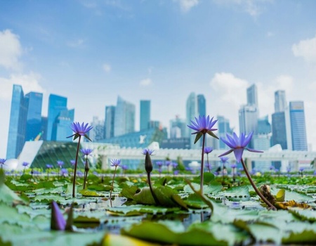 Circuit Australie et Singapour : La route des merveilles en 4*