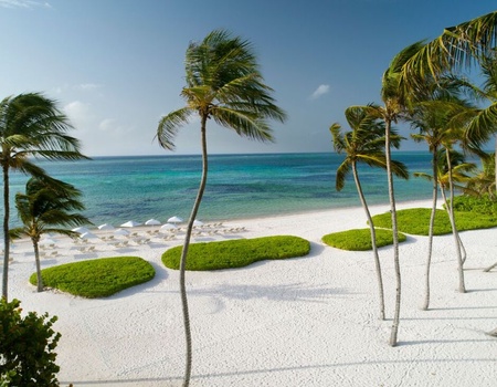 Hotel The Westin Punta Cana 4* - 2