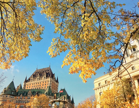 Le Canada, le pays de l'érable - 4