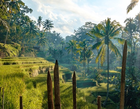 Circuit Irrésistible Bali 3/4* - 4