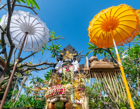 Combiné Bali, Jungle et Sable de Bali