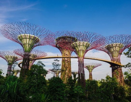 PENINSULE ETINCELANTE - 2