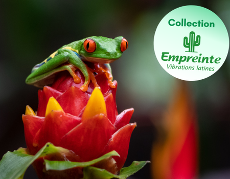 Circuit Safari au Pays de l'Or Noir et plage de Tambor 4* - 1