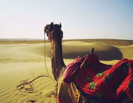 Circuit Escapade colorée au Rajasthan 10 nuits - De New Delhi A New Delhi - 5